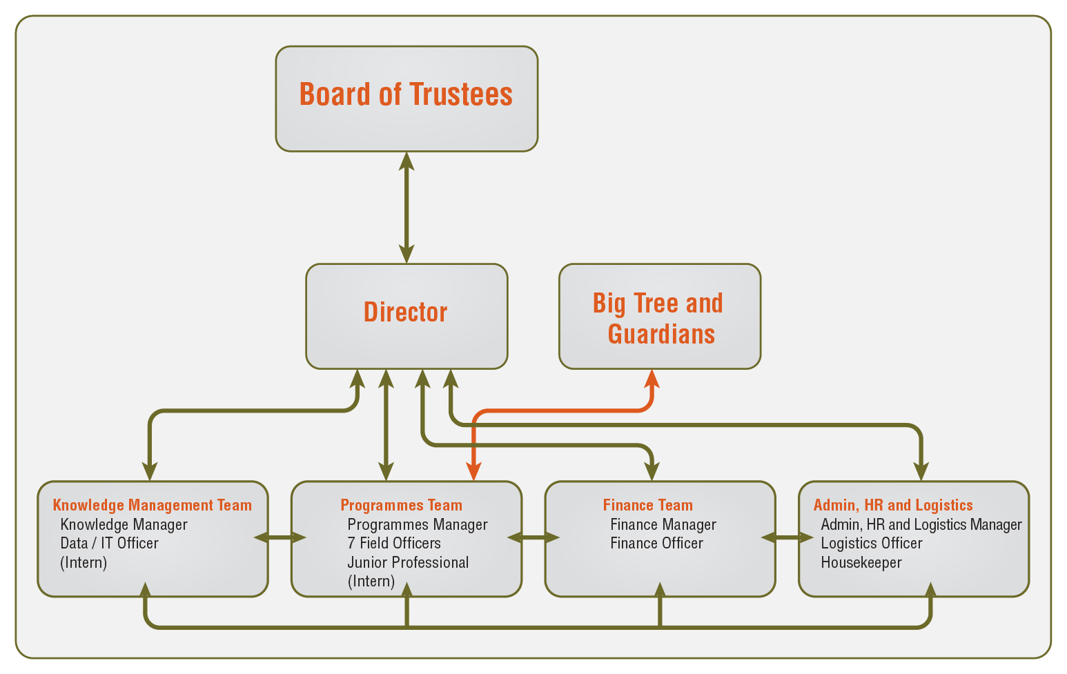 Tree of Life Organisational Chart